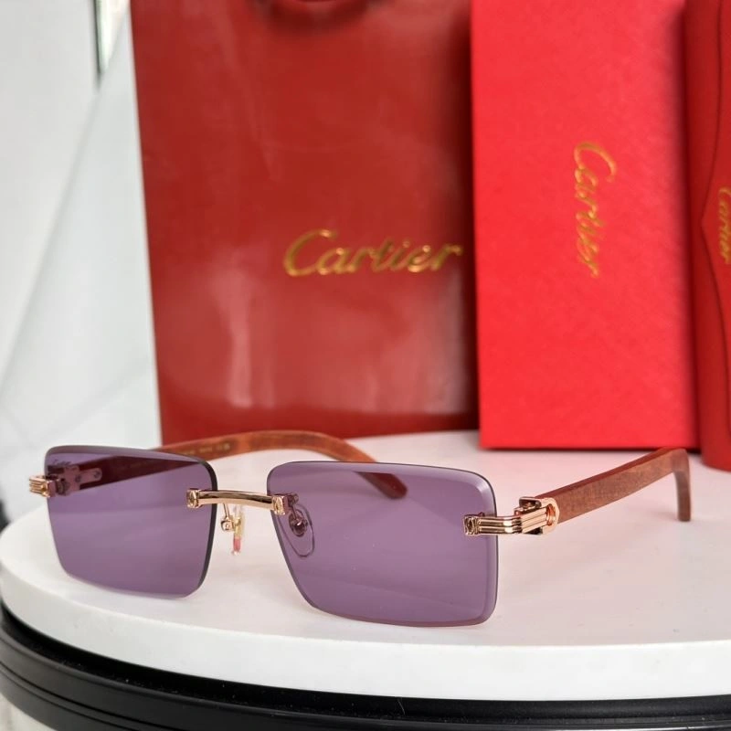Minimalist Cartier Sunglasses 277472