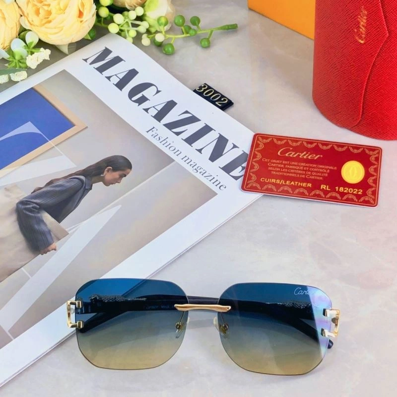 Cartier Sunglasses Functional 277458