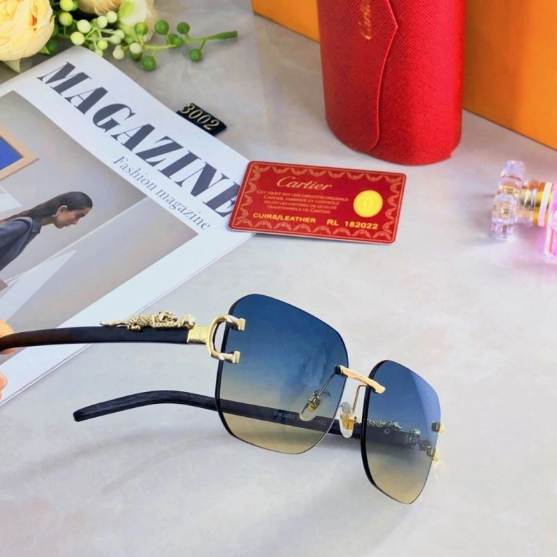 Cartier Sunglasses Functional 277458