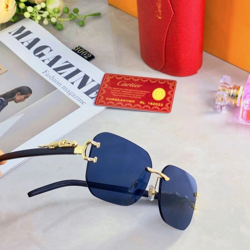 Cartier Sunglasses Functional 277458