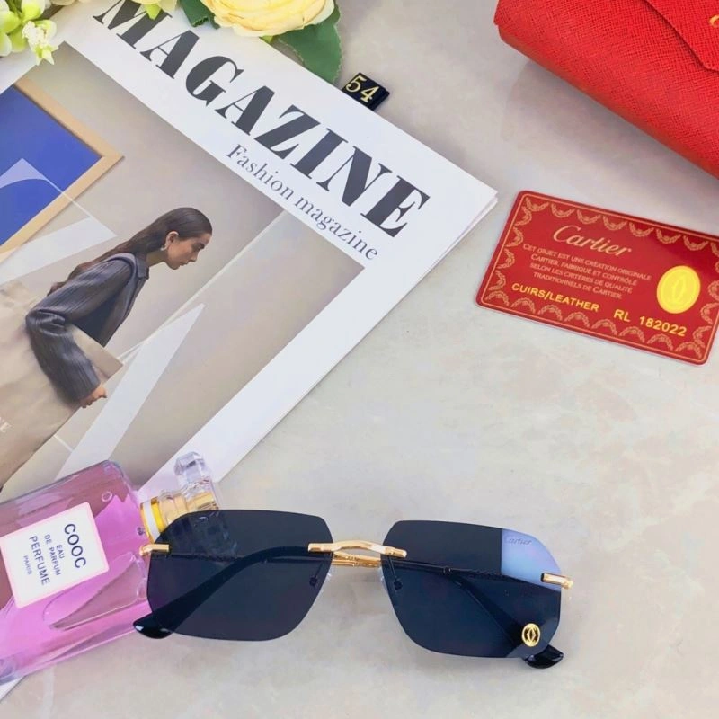 Minimalist Cartier Sunglasses 277446