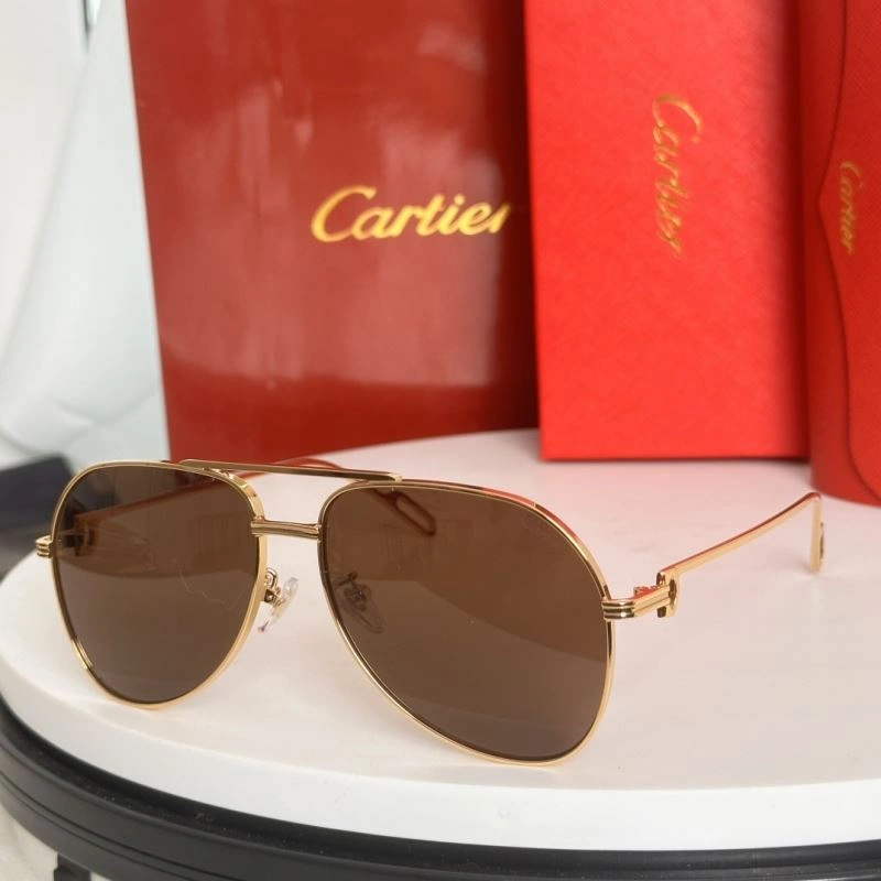 Stretchable Cartier Sunglasses 277443