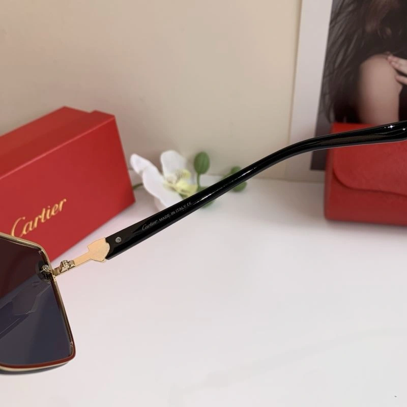 Cartier Sunglasses DailyWear 277433