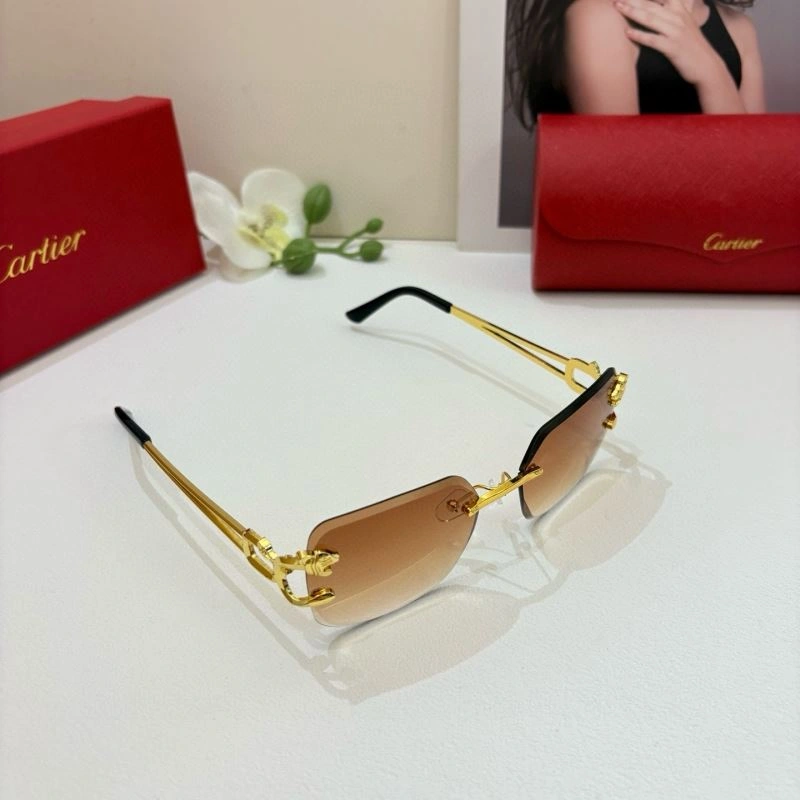 Colorful Cartier Sunglasses 277423