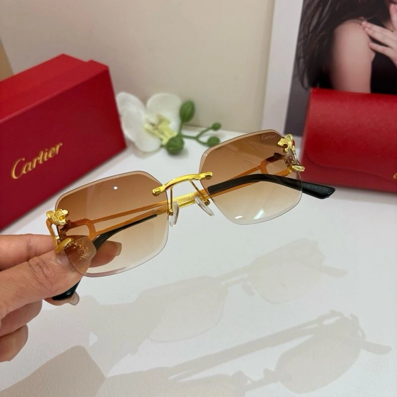 Colorful Cartier Sunglasses 277423