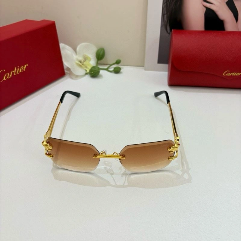 Colorful Cartier Sunglasses 277423