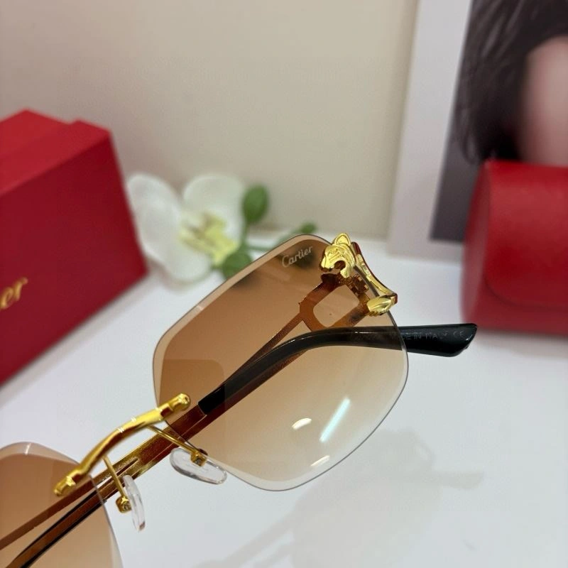 Colorful Cartier Sunglasses 277423