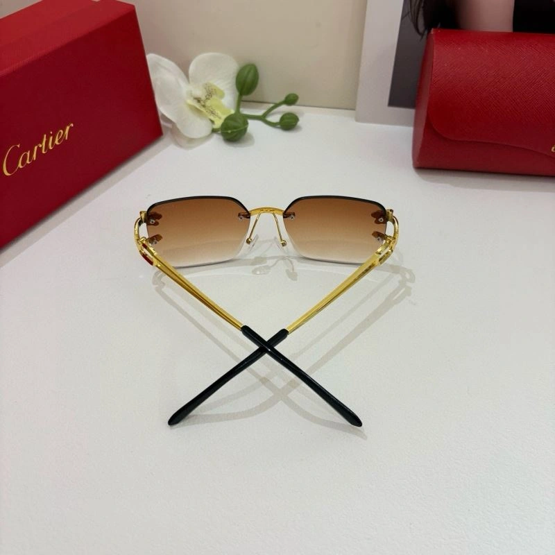 Colorful Cartier Sunglasses 277423