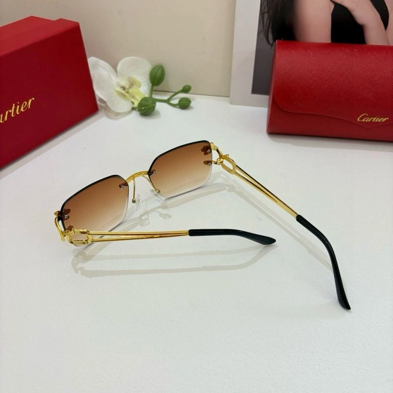 Colorful Cartier Sunglasses 277423