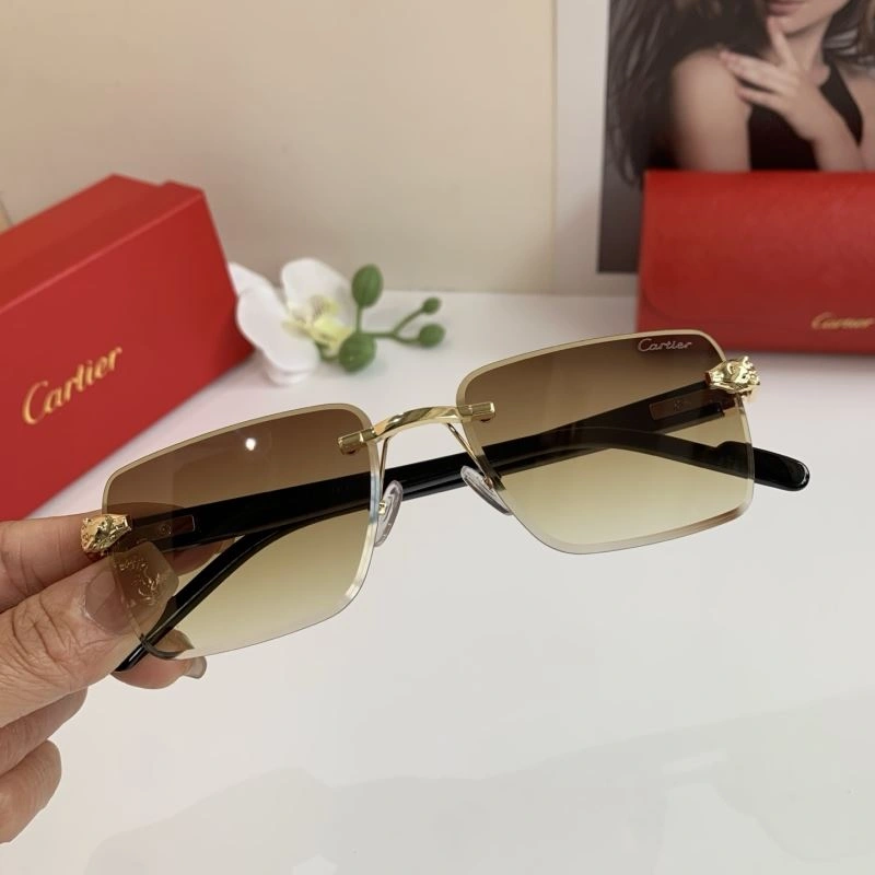Cartier Sunglasses Versatile 277391