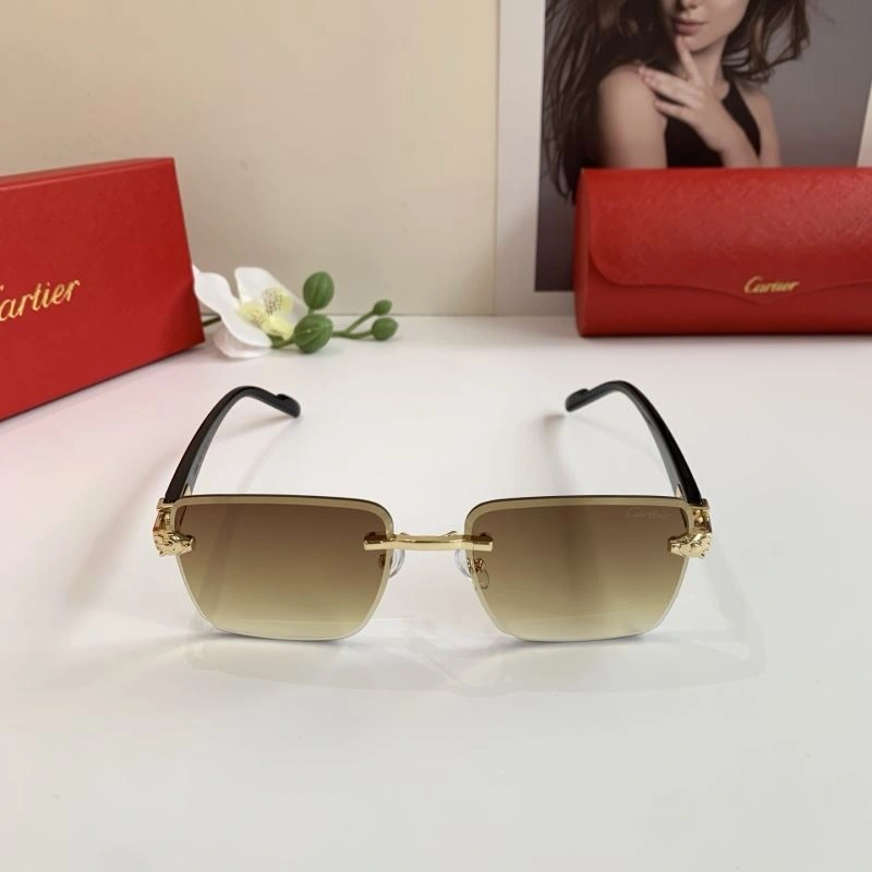 Cartier Sunglasses Versatile 277391