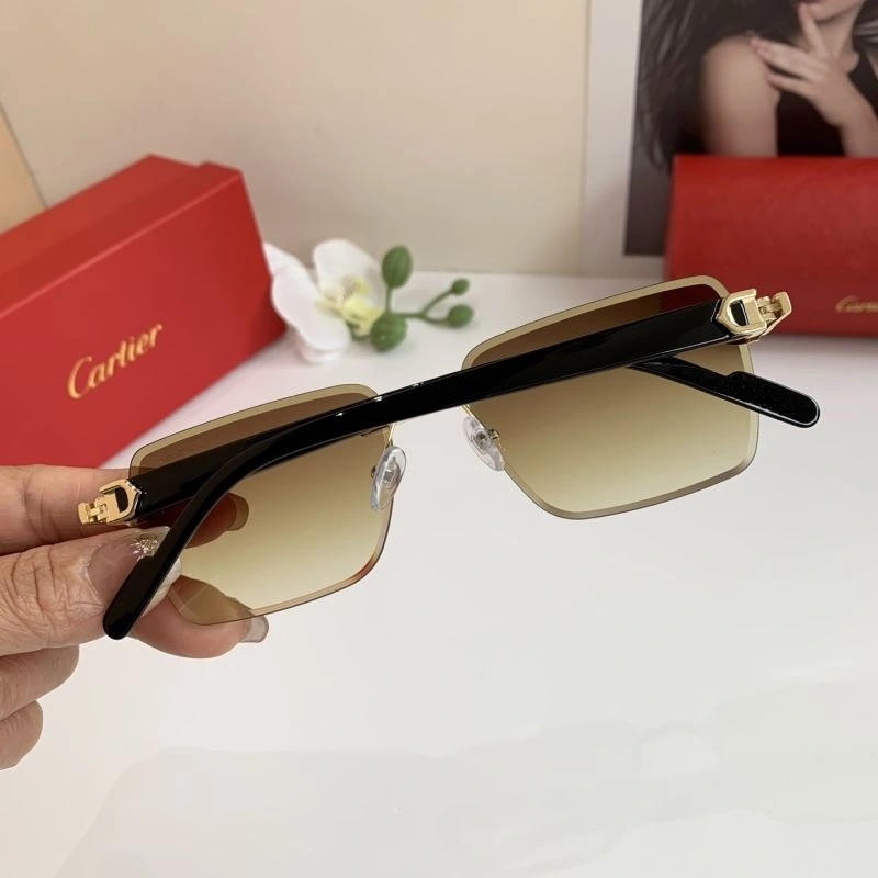 Cartier Sunglasses Versatile 277391