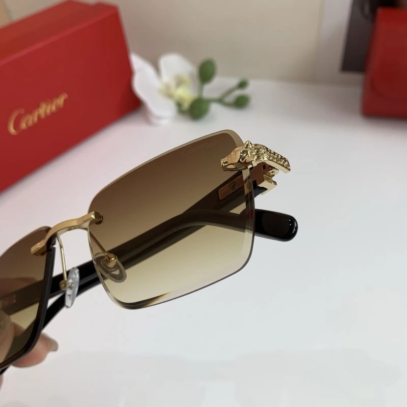 Cartier Sunglasses Versatile 277391