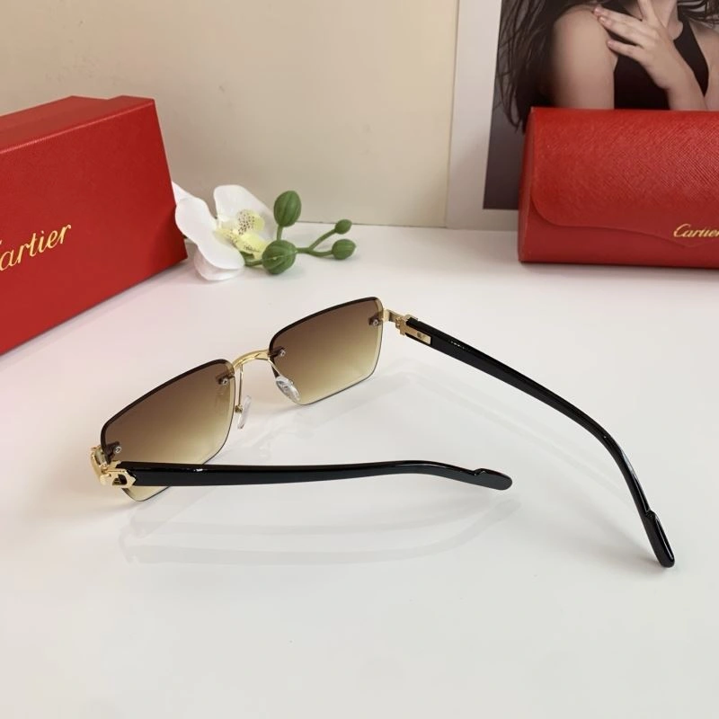Cartier Sunglasses Versatile 277391