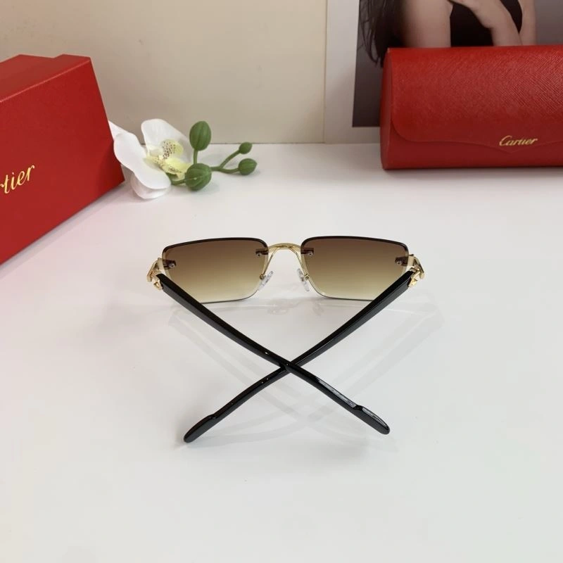 Cartier Sunglasses Versatile 277391