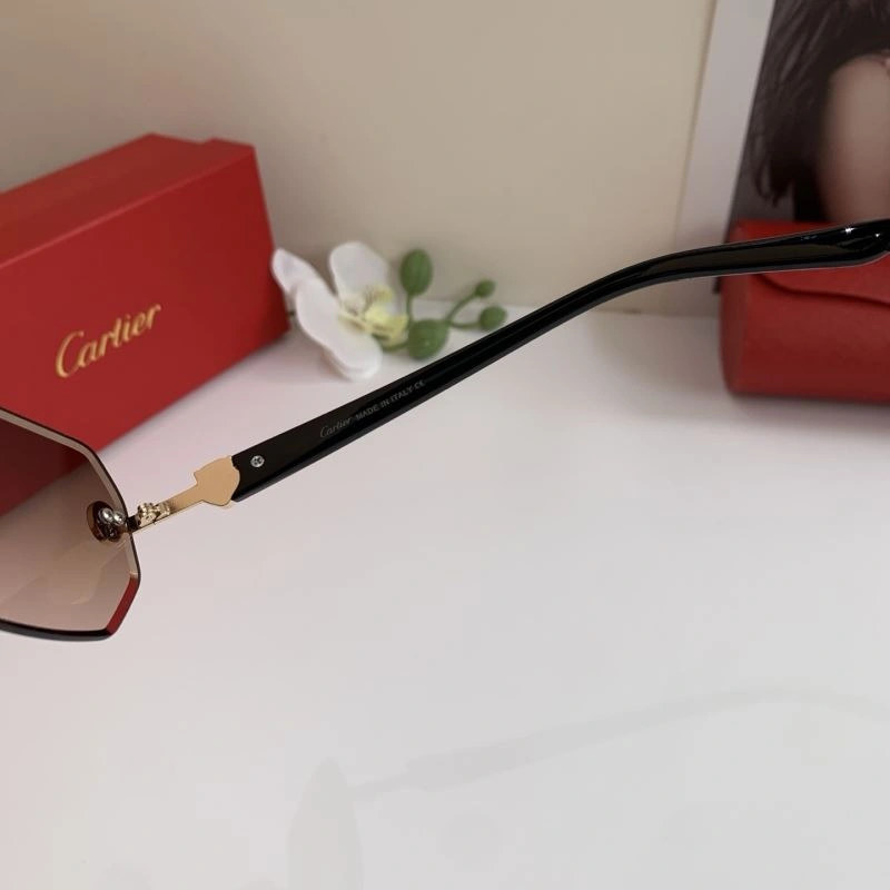 FastDry Cartier Sunglasses 277393
