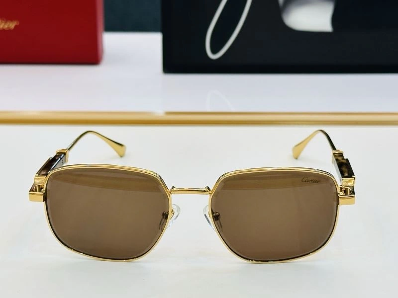 SmoothTexture Cartier Sunglasses 277372