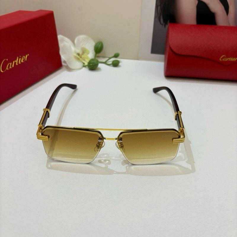 Cartier Sunglasses FastDry 277370