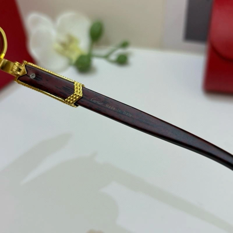 Cartier Sunglasses FastDry 277370