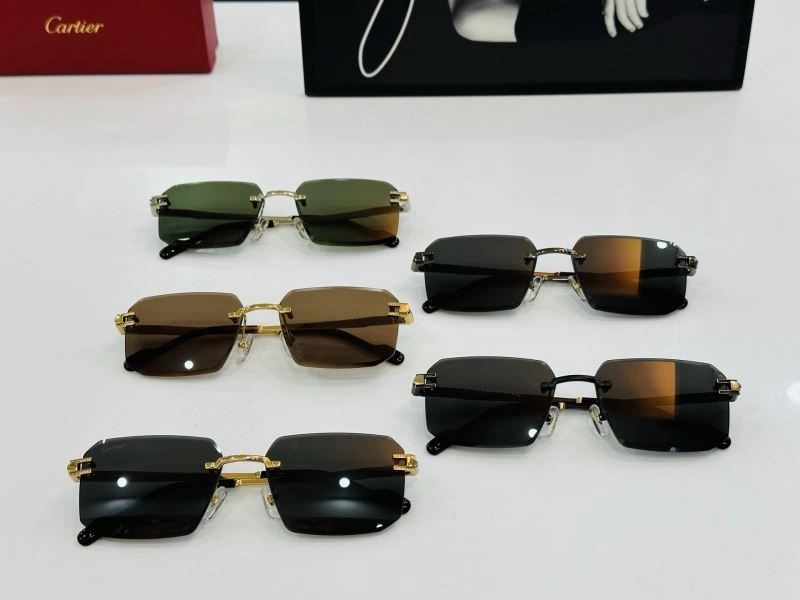 Cartier Sunglasses WeatherProof 277574