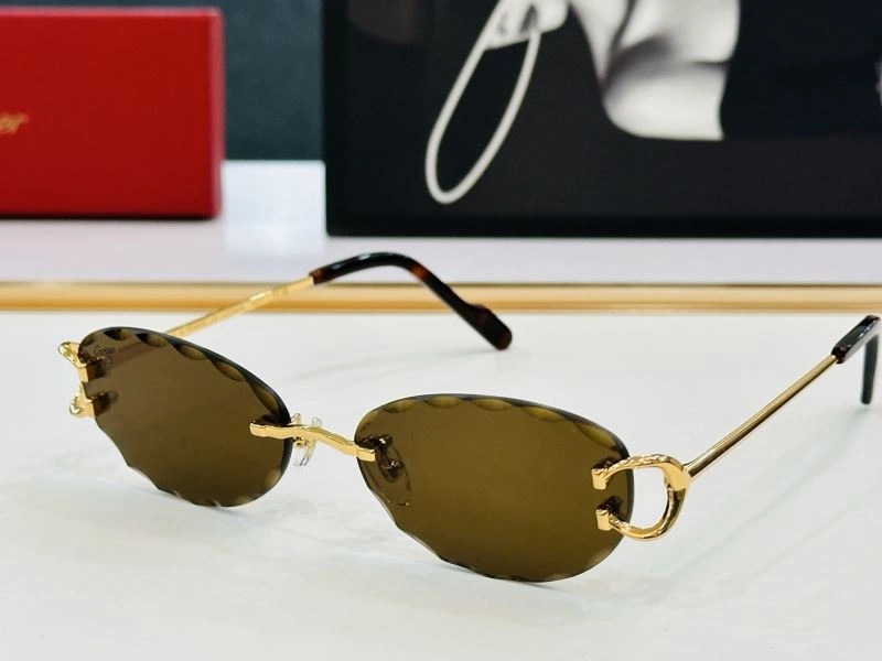 Tailored Cartier Sunglasses 277571