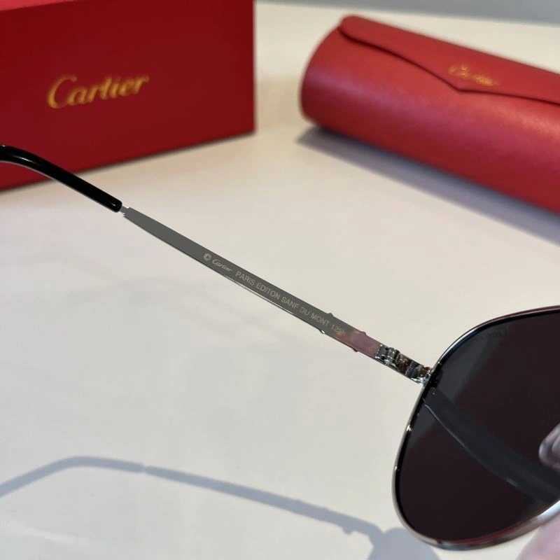 Resilient Cartier Sunglasses 277555
