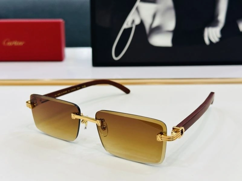 Contemporary Cartier Sunglasses 277539