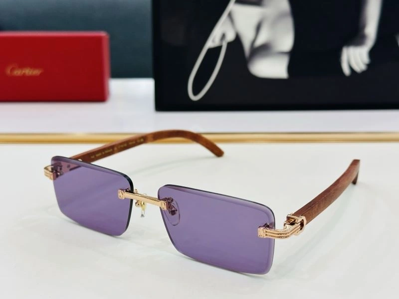 Contemporary Cartier Sunglasses 277539