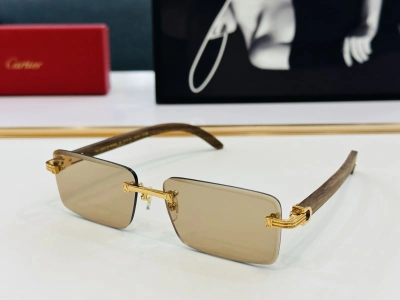 Contemporary Cartier Sunglasses 277539