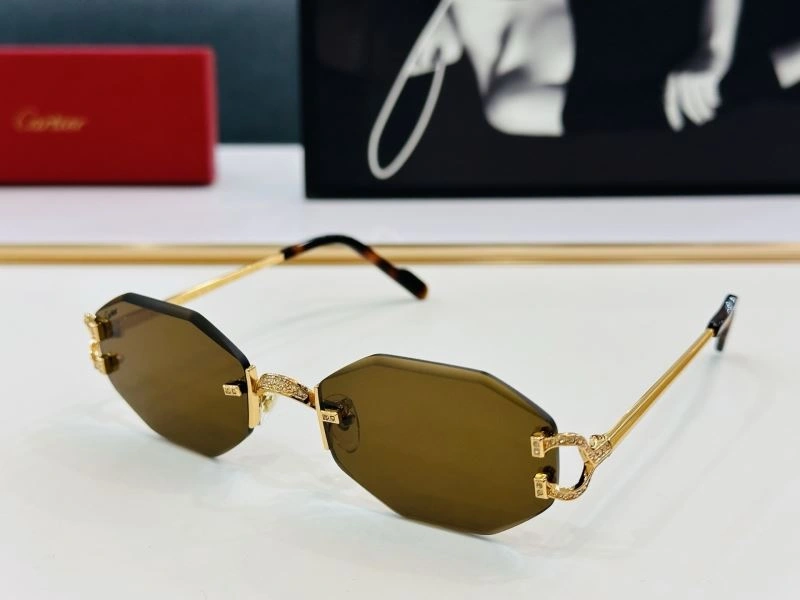 DailyWear Cartier Sunglasses 277536