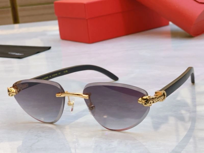 Cartier Sunglasses Minimalist 277524