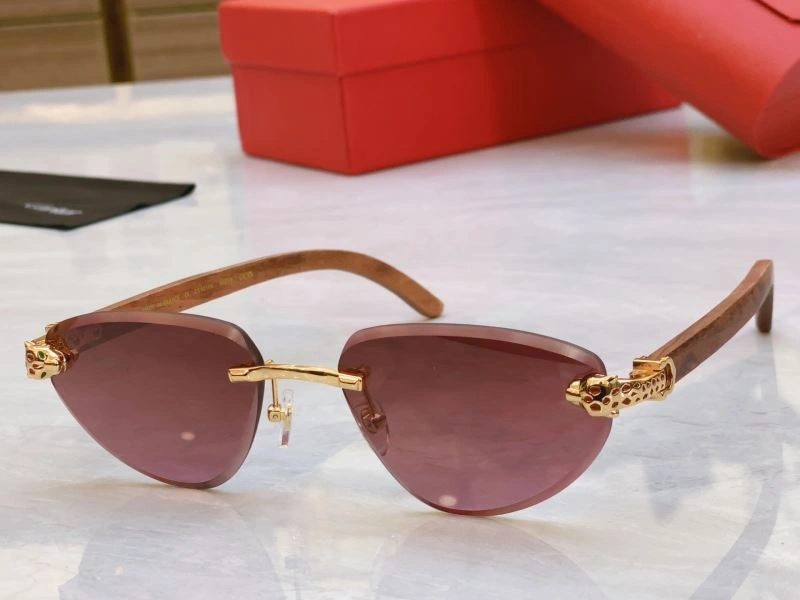 Cartier Sunglasses Minimalist 277524