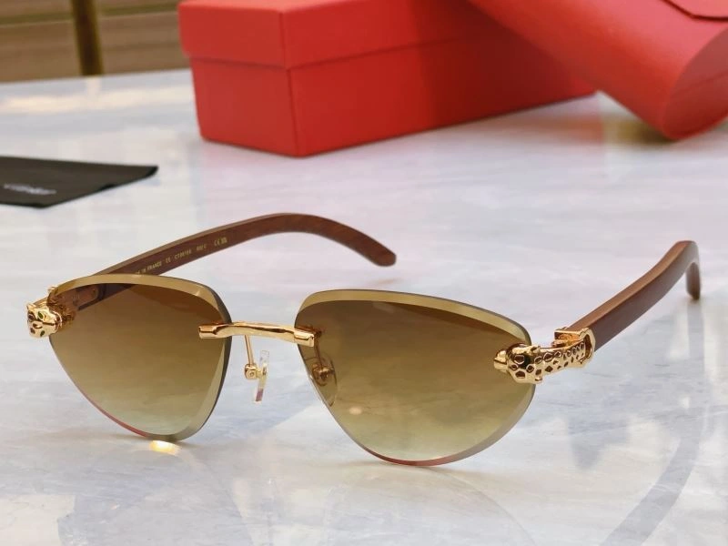Cartier Sunglasses Minimalist 277524