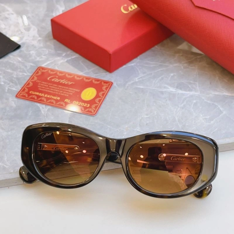 AllSeason Cartier Sunglasses 277517