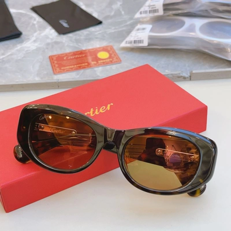 AllSeason Cartier Sunglasses 277517