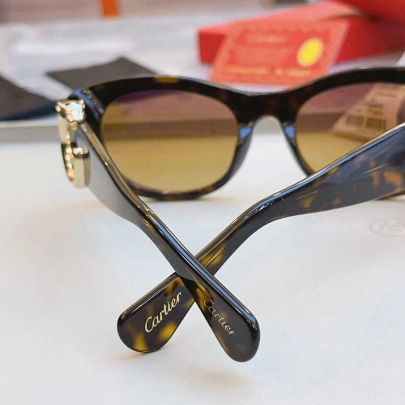 AllSeason Cartier Sunglasses 277517