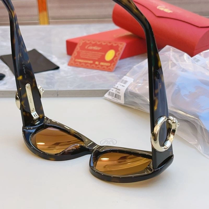 AllSeason Cartier Sunglasses 277517