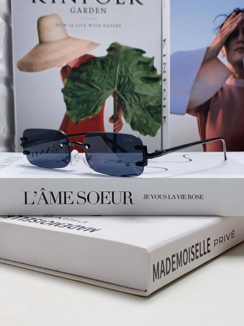 Cartier Sunglasses Popular 277510