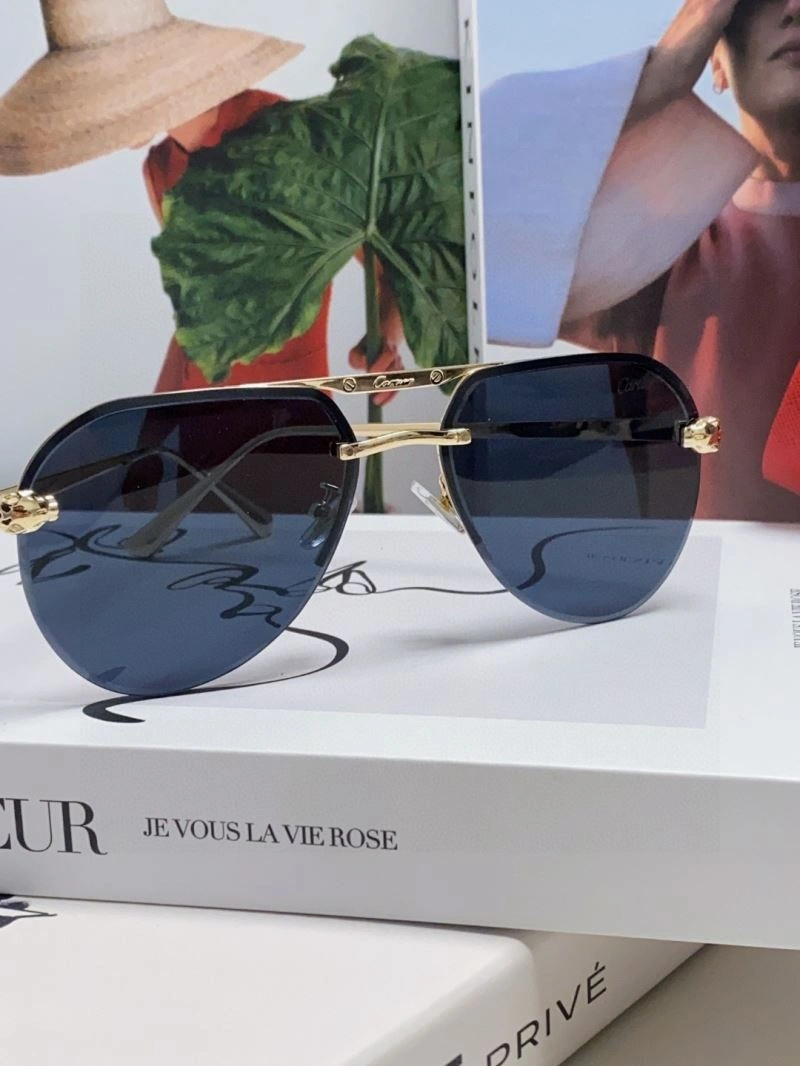 Colorful Cartier Sunglasses 277508