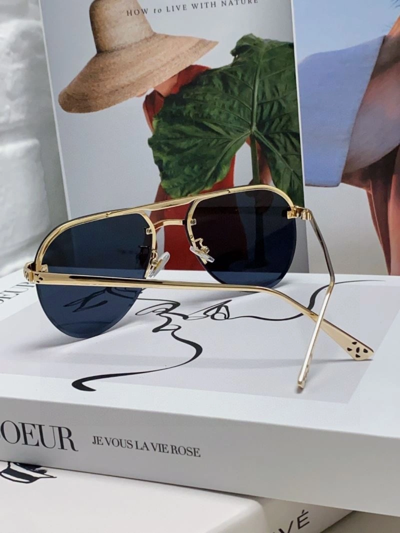 Colorful Cartier Sunglasses 277508