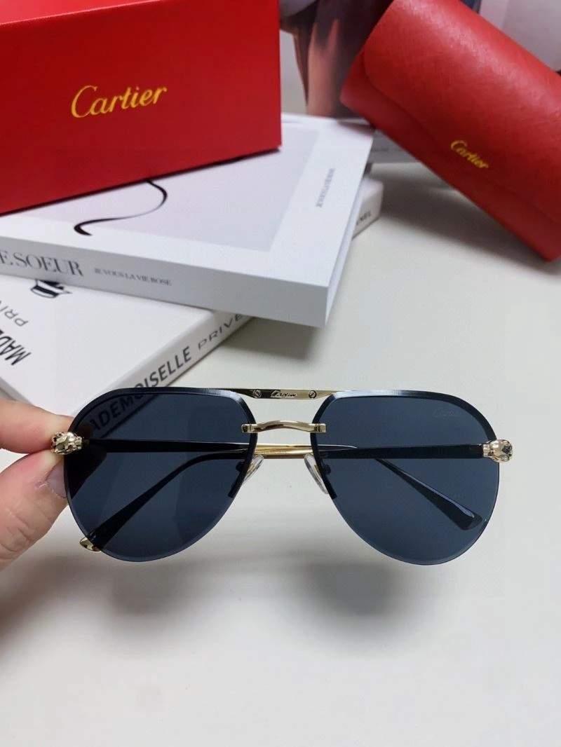 Colorful Cartier Sunglasses 277508