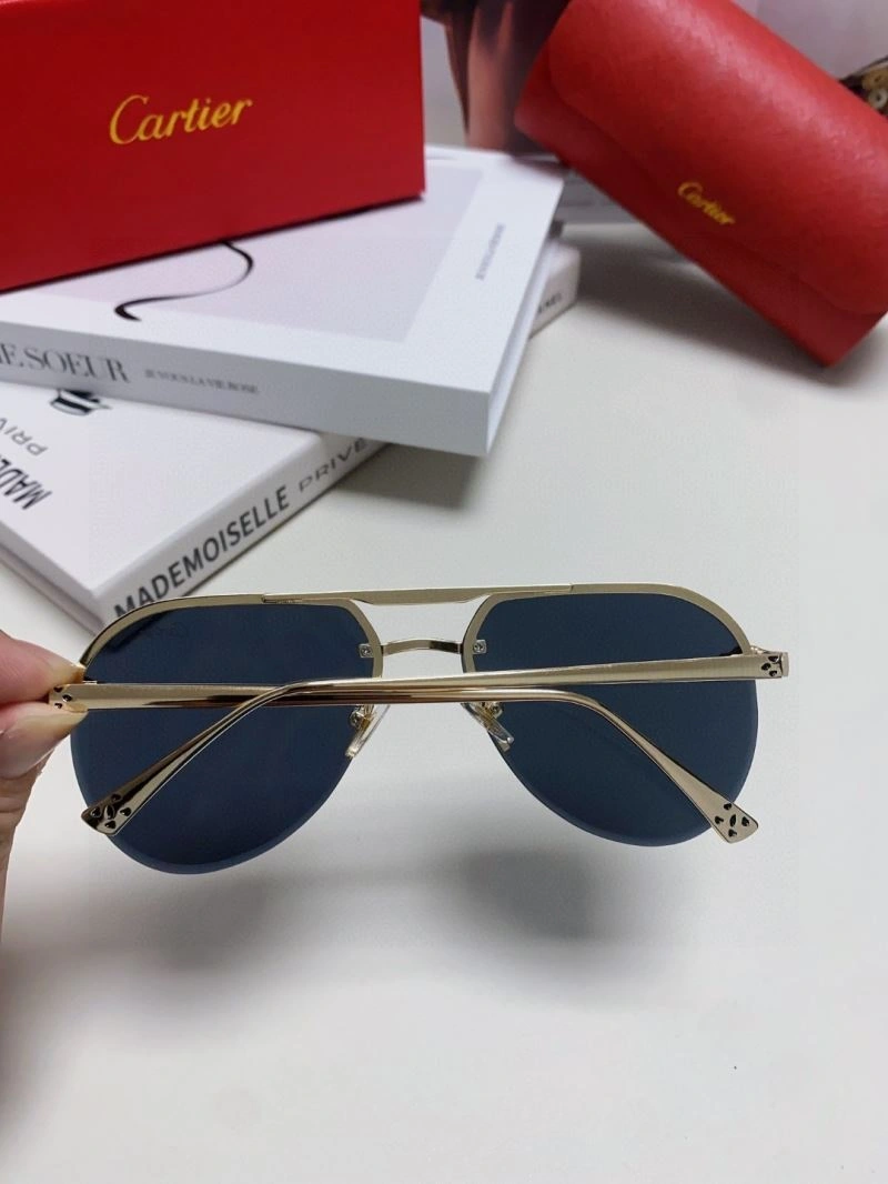 Colorful Cartier Sunglasses 277508