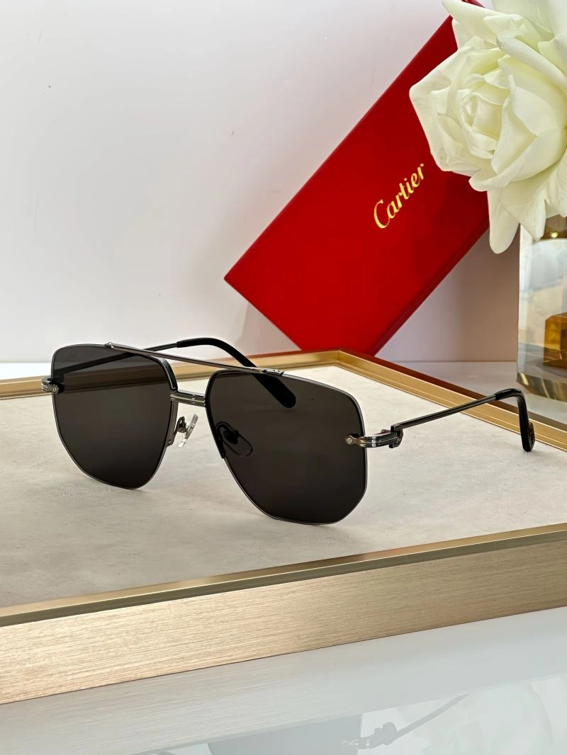 Modern Cartier Sunglasses 277696