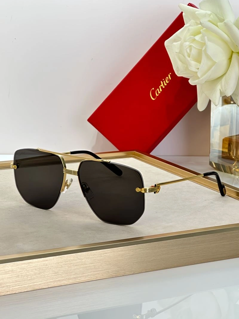 Modern Cartier Sunglasses 277696