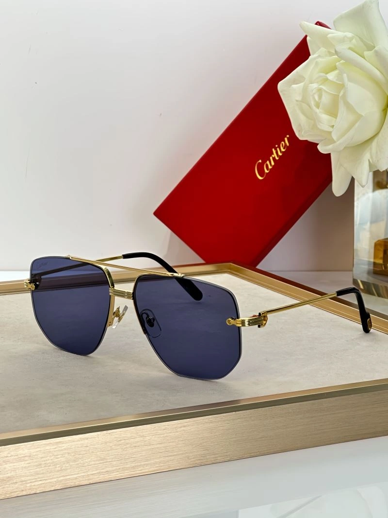Modern Cartier Sunglasses 277696