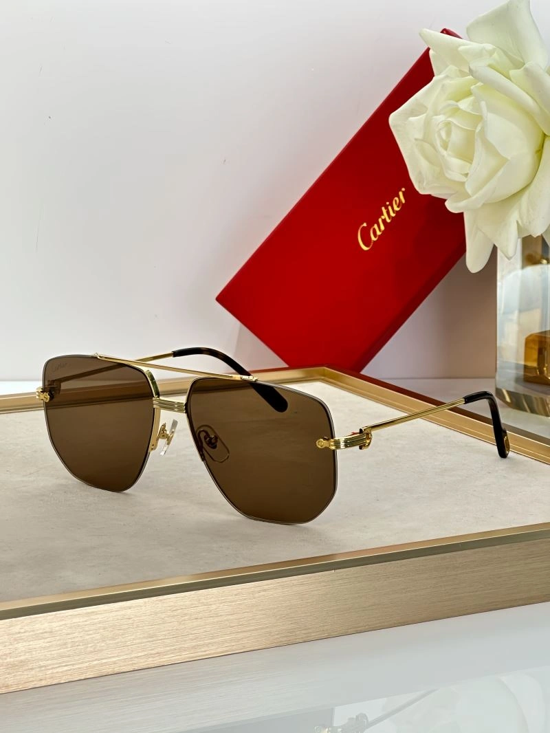 Modern Cartier Sunglasses 277696