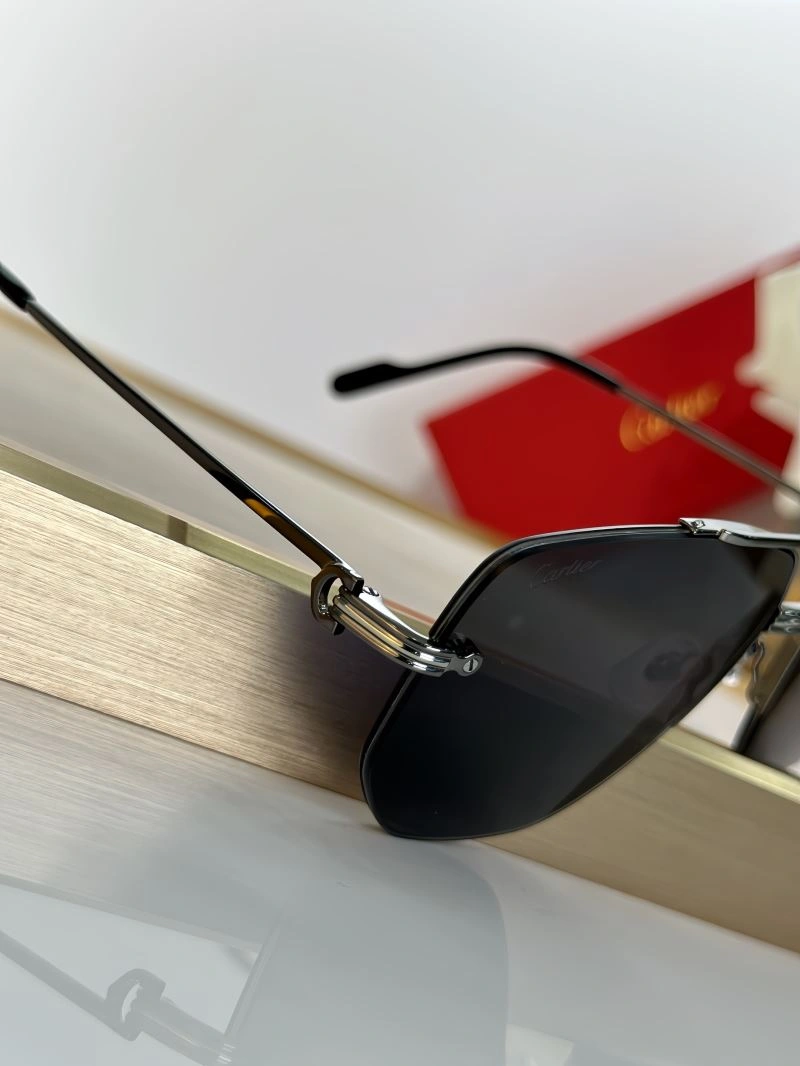 Modern Cartier Sunglasses 277696