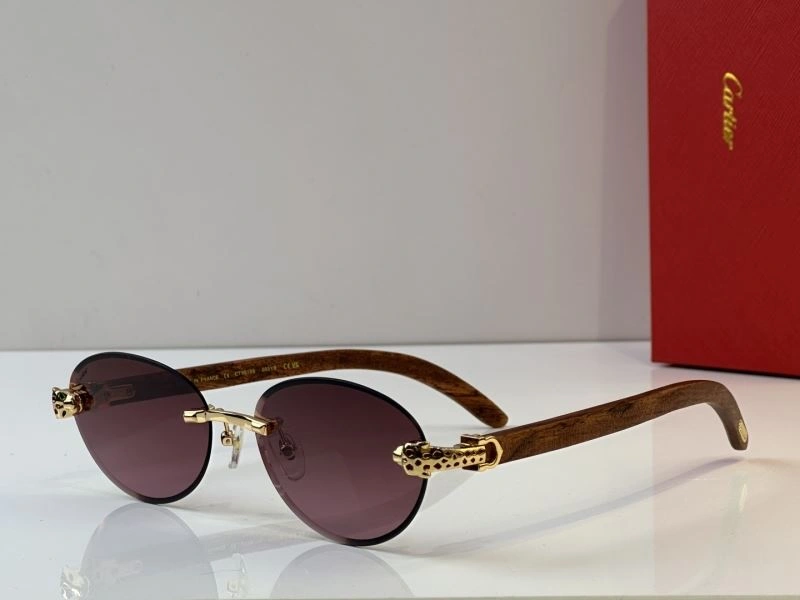ModernLook Cartier Sunglasses 277683