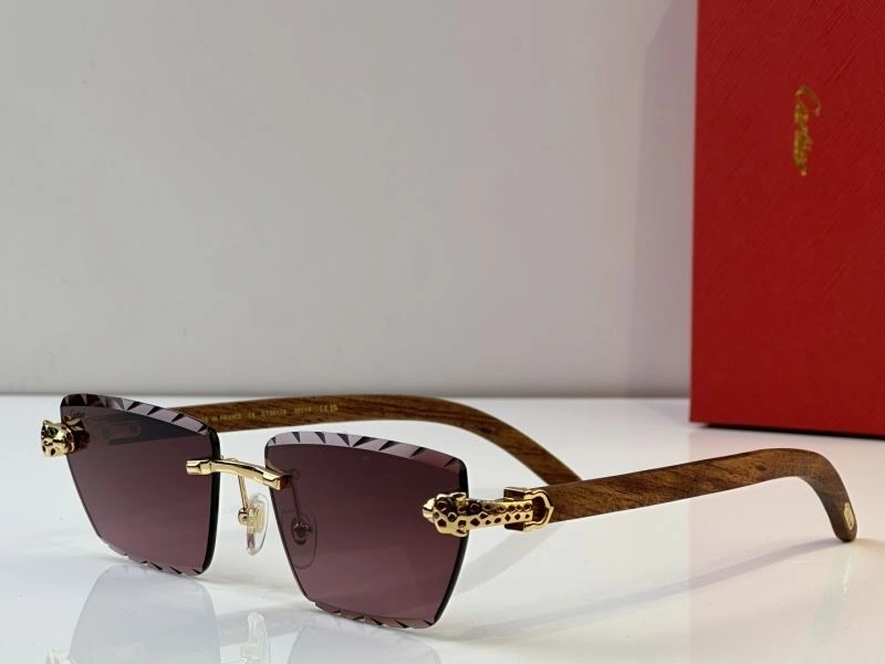FreshLook Cartier Sunglasses 277691