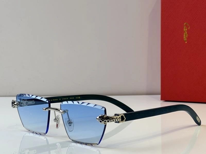 FreshLook Cartier Sunglasses 277691